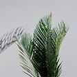 gallery-thumb